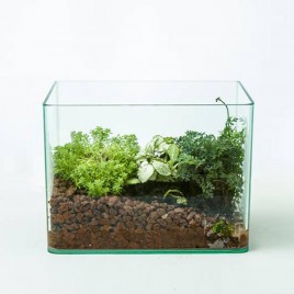 Terrarium
