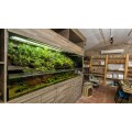 Paludarium